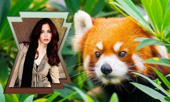 Wild Animals Photo Frames screenshot 3