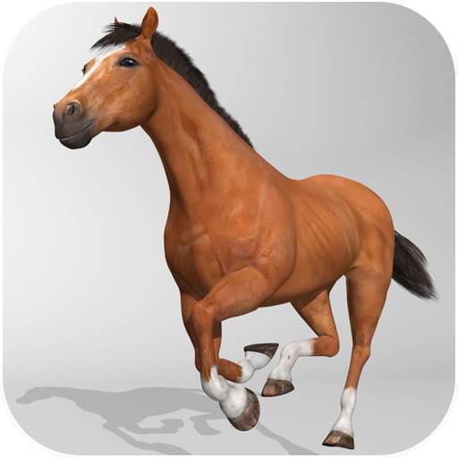 Horse Simulator 3D 1.0.3
