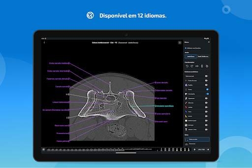 vet-Anatomy screenshot 15