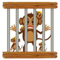 Ponky Monky