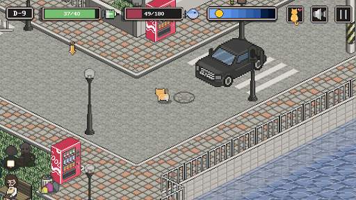 길고양이 이야기 : support edition screenshot 3