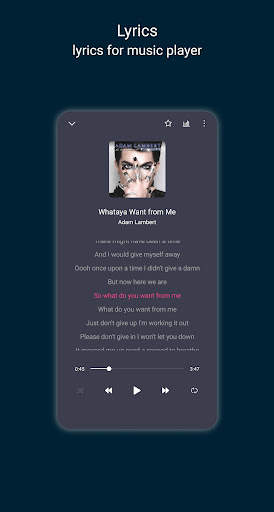 Tincat Player - Music & Video screenshot 3