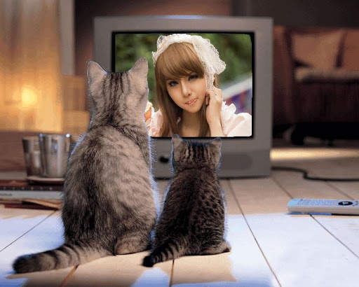 Animal Photo Frames screenshot 2