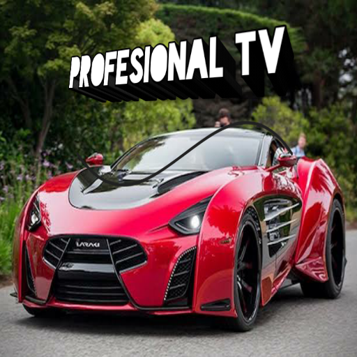Profesional TV icon