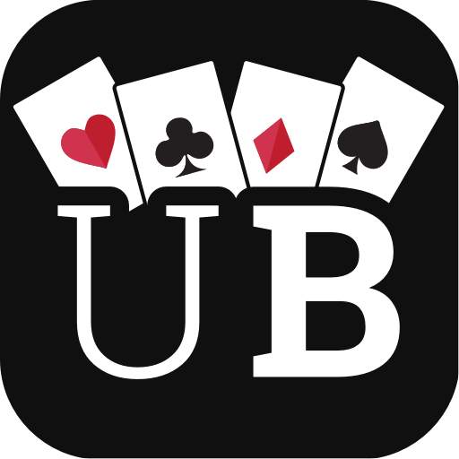 Ultimate Bridge 3.3.15
