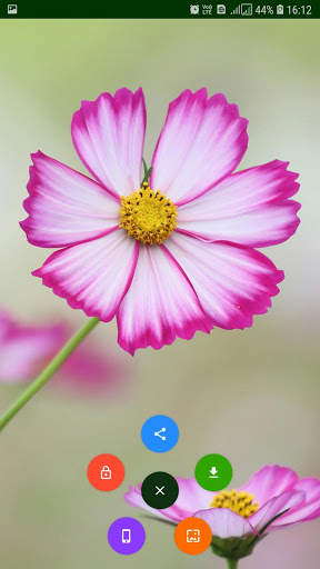 Flower Wallpaper screenshot 9