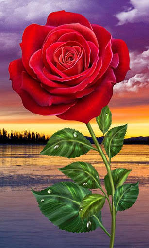 HD Rose Flowers Live Wallpaper screenshot 15