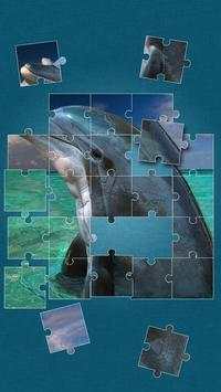 Dolphins Jigsaw Puzzle screenshot 9