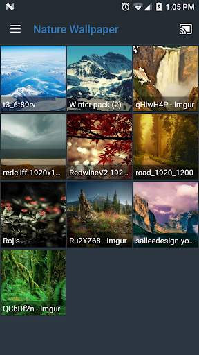 All Screen Cast to TV Roku скриншот 5
