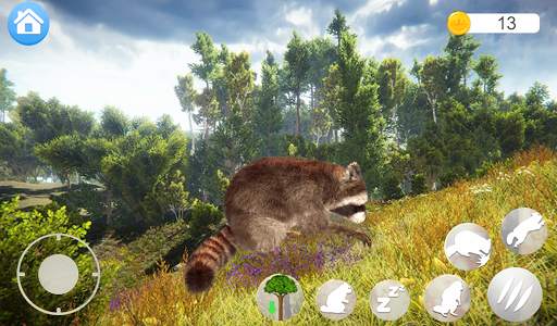 Talking Raccoon screenshot 7