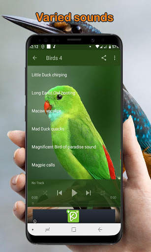 Bird Calls, Sounds, & Ringtones (Offline) скриншот 6