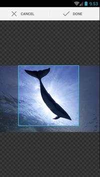 Fisheye Magick 3 تصوير الشاشة