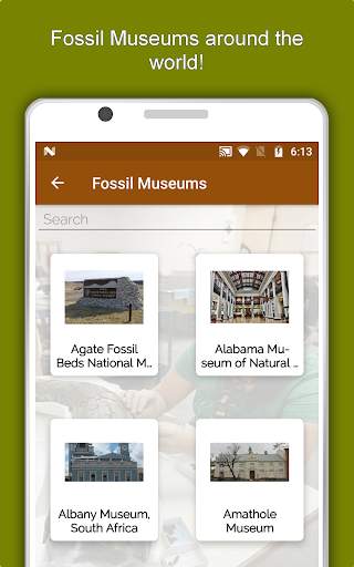 Palaeontology Dictionary - Fossil Discovery Guide 13 تصوير الشاشة