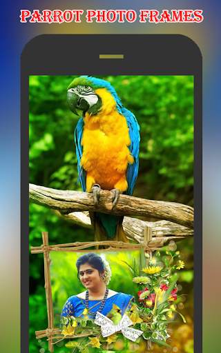 Parrot Photo Frames screenshot 11