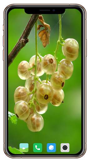Fruit Trees Wallpaper HD screenshot 2