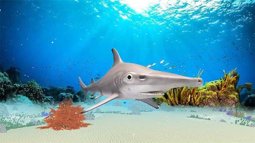The Hammerhead Shark screenshot 2