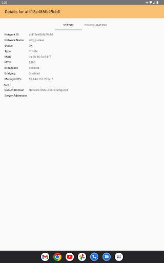 ZeroTier One screenshot 9