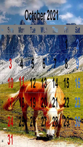 New Year Calendar Wallpaper 2021 screenshot 12