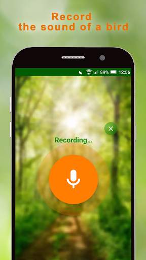 BirdNerd: Bird Song Identifier screenshot 1
