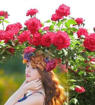 Rose Photo Collage screenshot 7