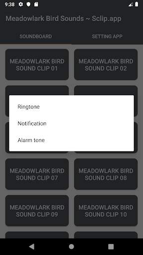 Meadowlark Bird Sound Collections ~ Sclip.app screenshot 4