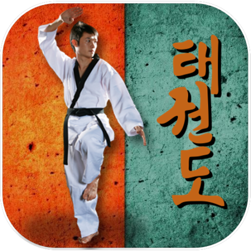 Taekwondo Pro आइकन