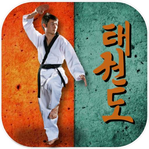 Taekwondo Pro 21