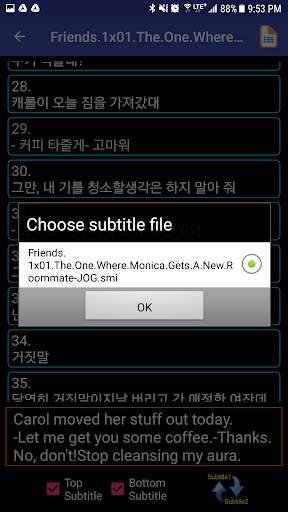 Subtitles Viewer screenshot 4
