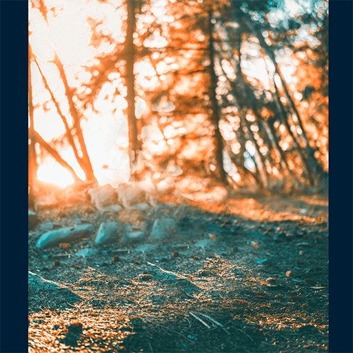 HD Quality background Photo Editing -Free Download icon