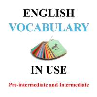 English Vocabulary in Use Pre-intermediate