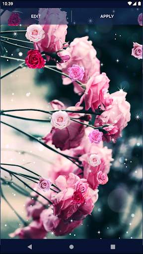 Spring Rose Live Wallpaper screenshot 7