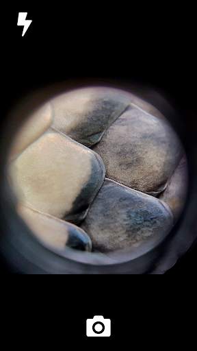 GoCamera - Microscopic Camera screenshot 4