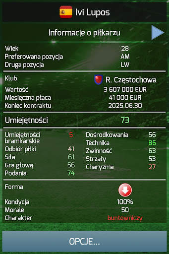True Football 3 screenshot 12