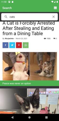 Imgur Browser screenshot 3