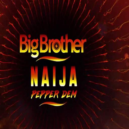 BBNaija Live Updates 1.3