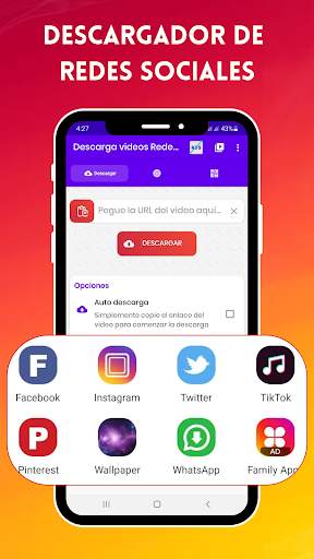 Descarga videos Redes Sociales screenshot 2