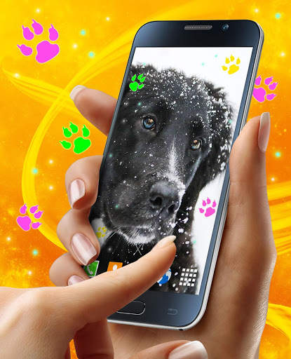Cute Puppy Live Wallpaper 🐶 Dog Paws Wallpapers screenshot 6