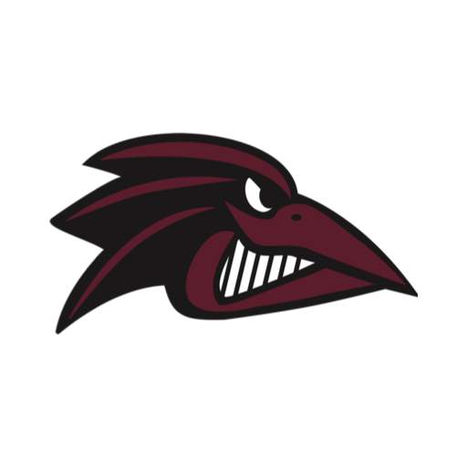 Raven Nation App 2023.01.3100 (build 11010)