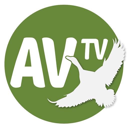 Av TV 1.4