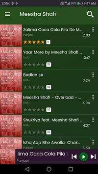 Pakistani Singers Songs MP3 | Offline screenshot 4