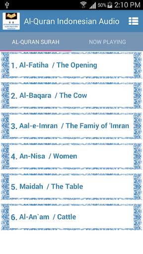 Quran Indonesian Audio Offline screenshot 1