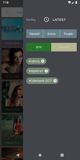 WA-11 H-A screenshot 2
