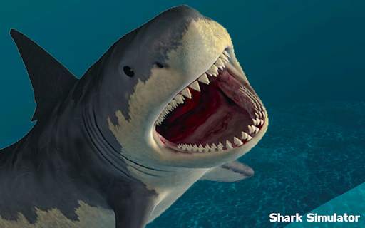 Shark  World Simulator Hungry Attack screenshot 5