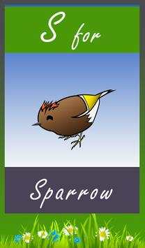 Animal Sounds - Birds Sounds screenshot 3