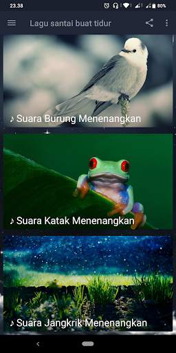 Lagu Santai Buat Tidur : Relaxing Music screenshot 4