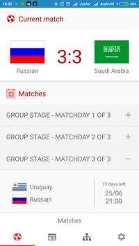 FIFA World Cup 2018 screenshot 2