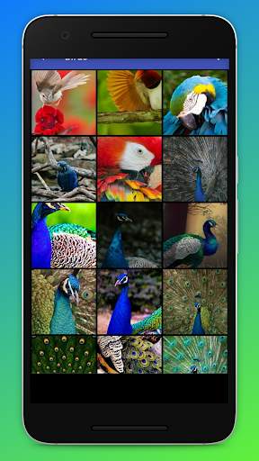 HD Bird Wallpapers screenshot 2