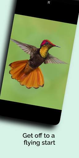 Natural History Museum screenshot 4