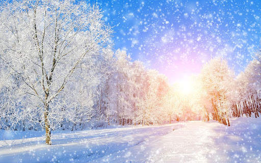 Winter Wallpaper screenshot 4