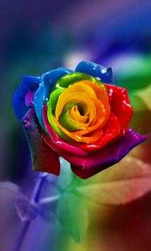 Flower Wallpapers 2020 screenshot 2